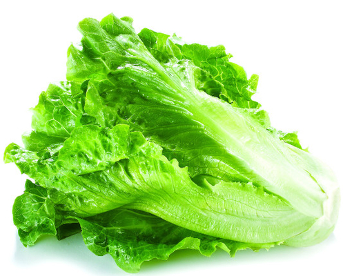 10-70m/min スピード 果物・野菜食品外物質のX線検査システム